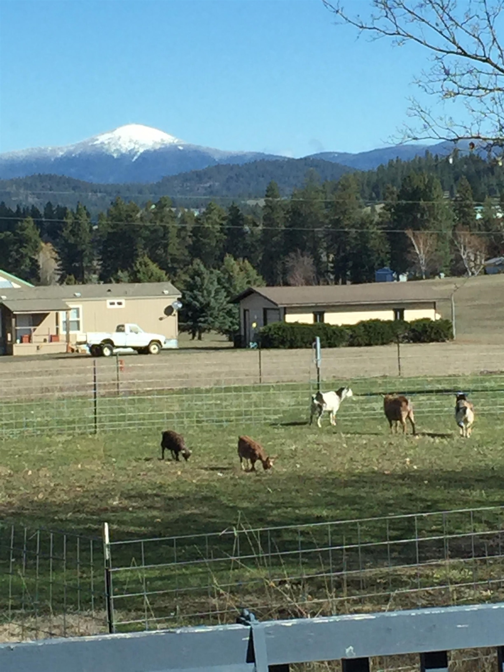 8710 North Forker Road Spokane, WA 99217 - Photo 18 of 20