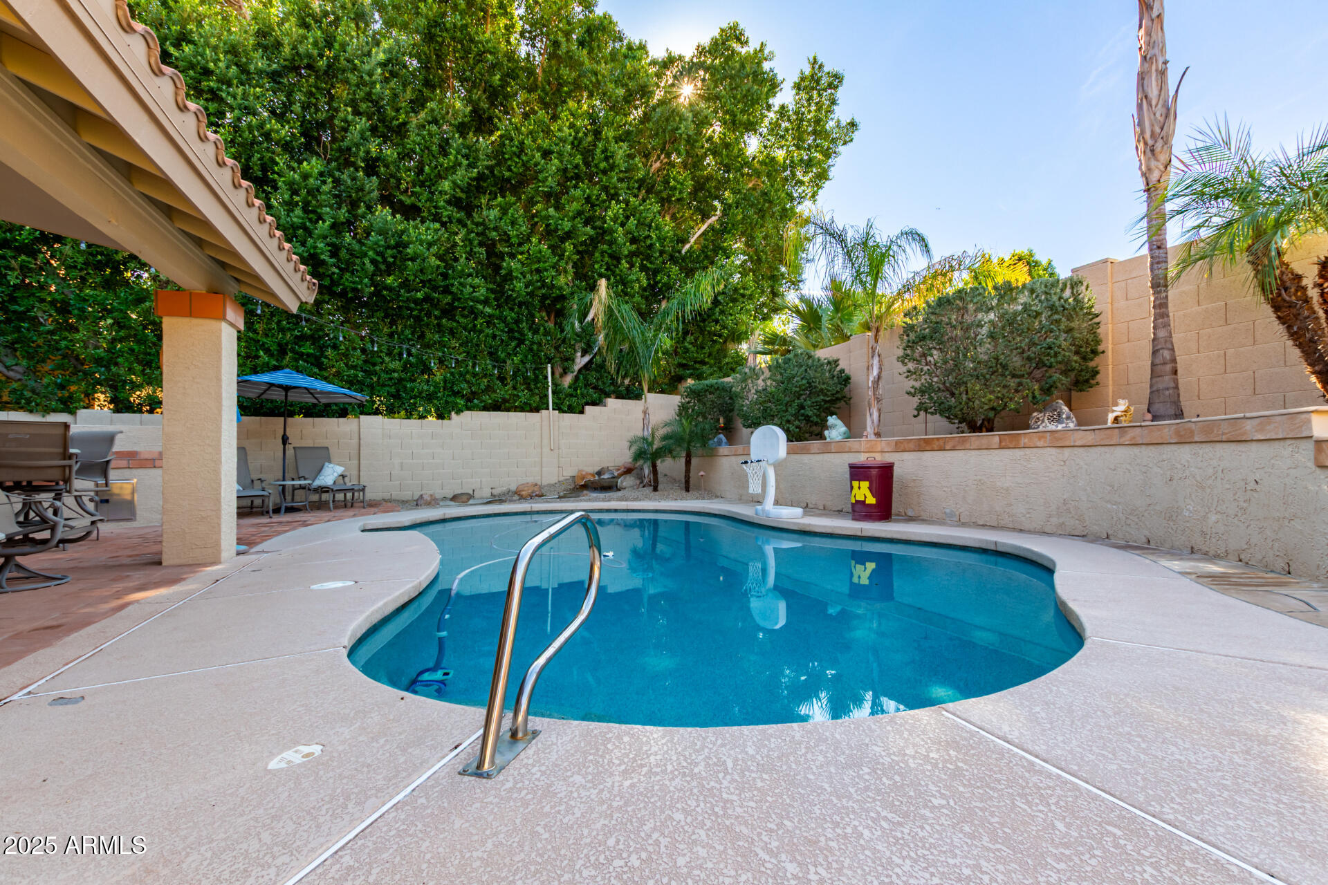 14044 South 33rd Way Phoenix, AZ 85044 - Photo 36 of 59 a view of a swimming pool with a patio and plants
