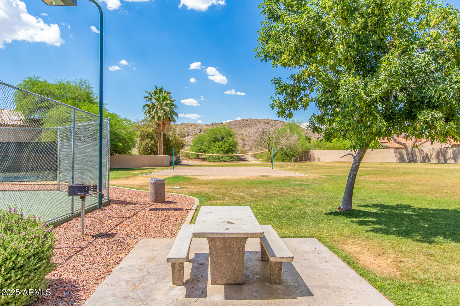 14044 South 33rd Way Phoenix, AZ 85044 - Photo 46 of 59 a view of a yard with swimming pool