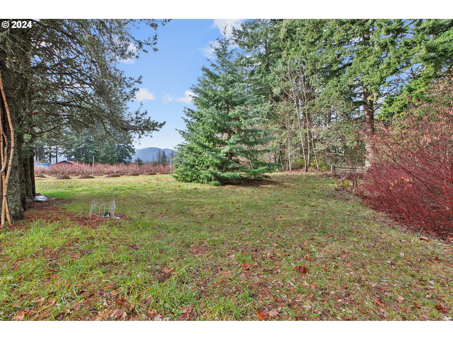 5160 Imai Road Hood River, OR 97031 - Photo 24 of 39 Gallery Image 24