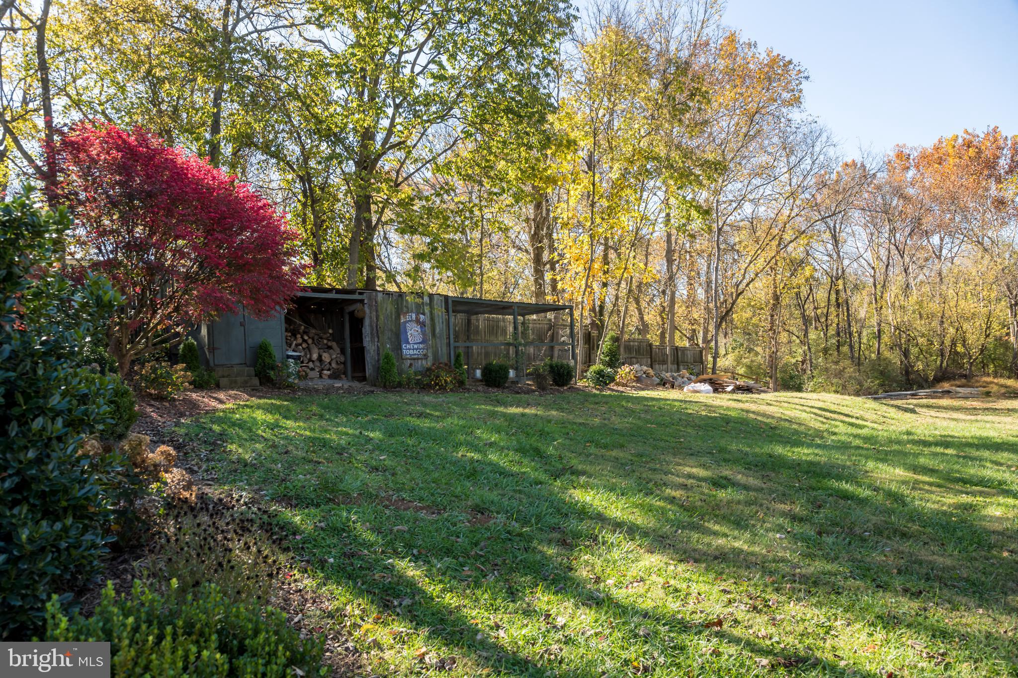 1690 Millwood Road Boyce, VA 22620 - Photo 34 of 44 a view of a backyard with large trees