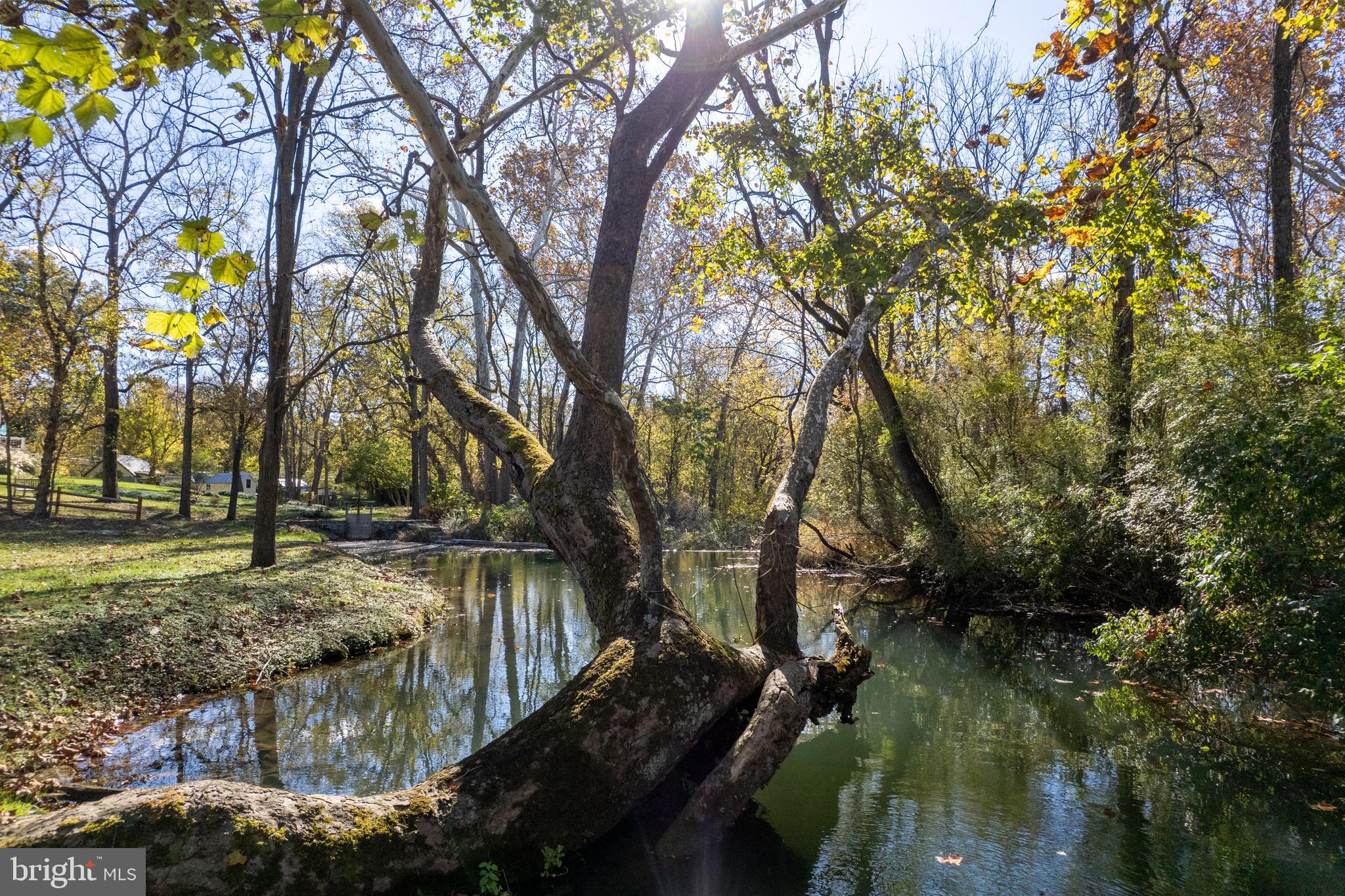 1690 Millwood Road Boyce, VA 22620 - Photo 38 of 44 a view of a yard in a yard