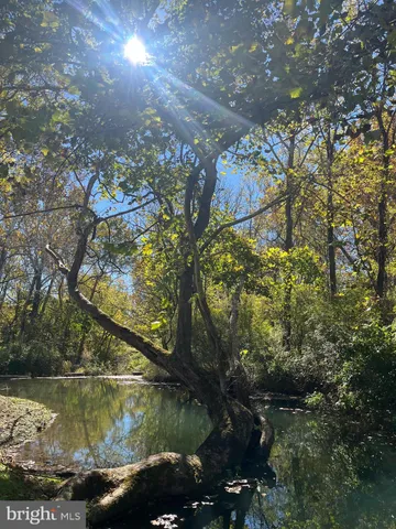 $795,000 | 1690 Millwood Road, Boyce, VA 22620