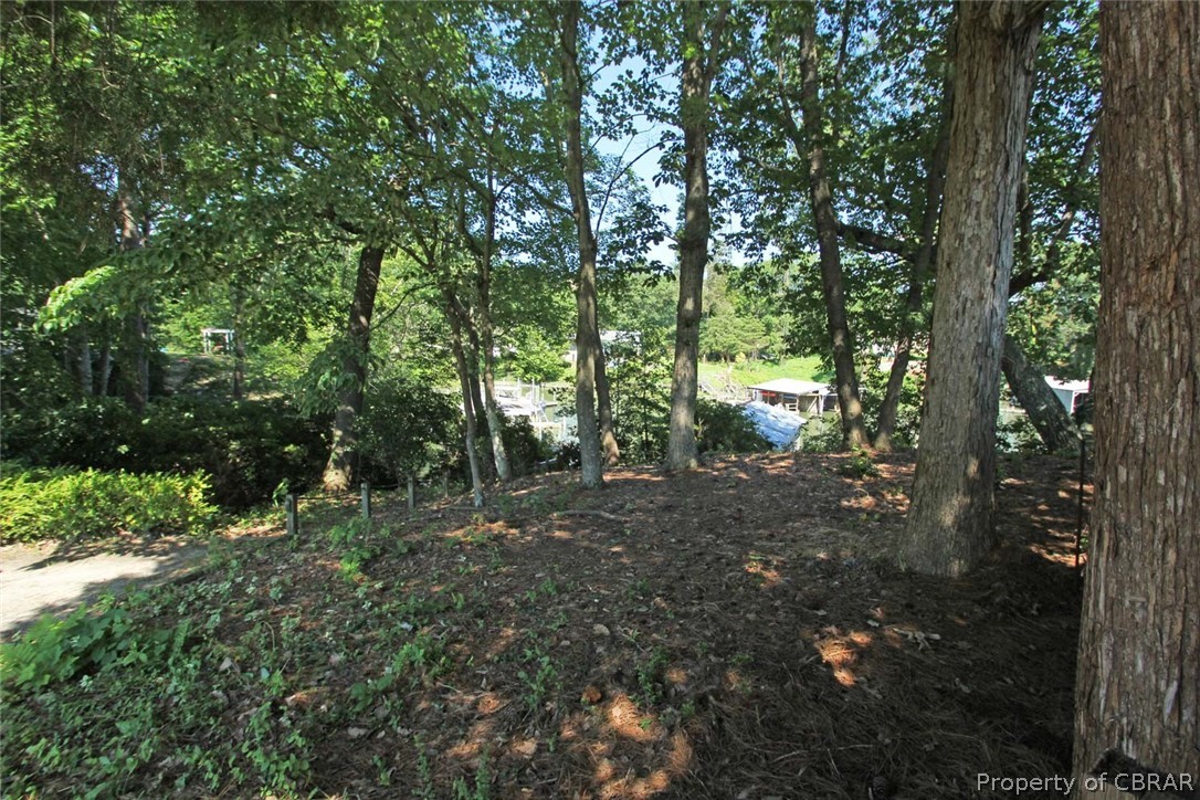 1621 Locust Grove Road Topping, VA 23169 - Photo 3 of 48 Path Leading to the Pier & Boathouse