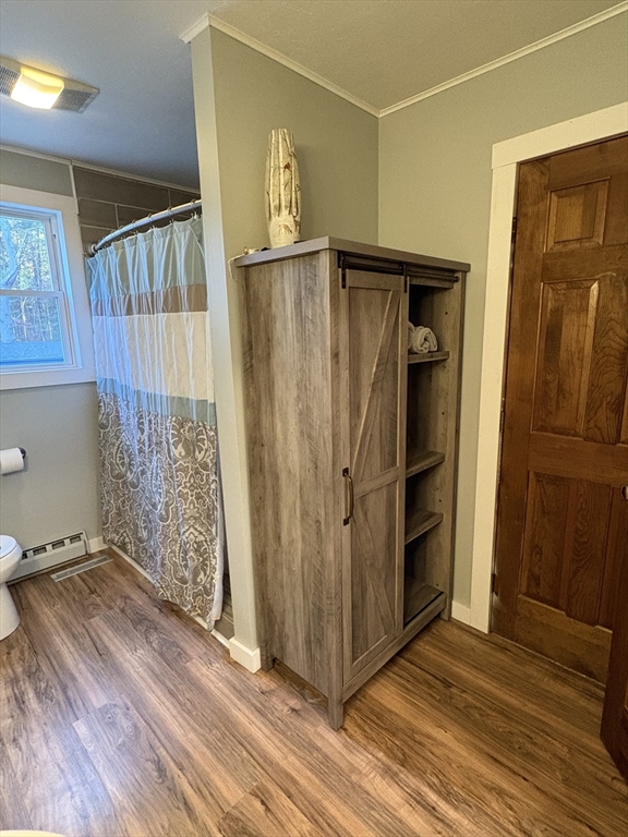 11 Potter Road Douglas, MA 01516 - Photo 10 of 41 a view of a storage & utility room with closet wooden floor and window