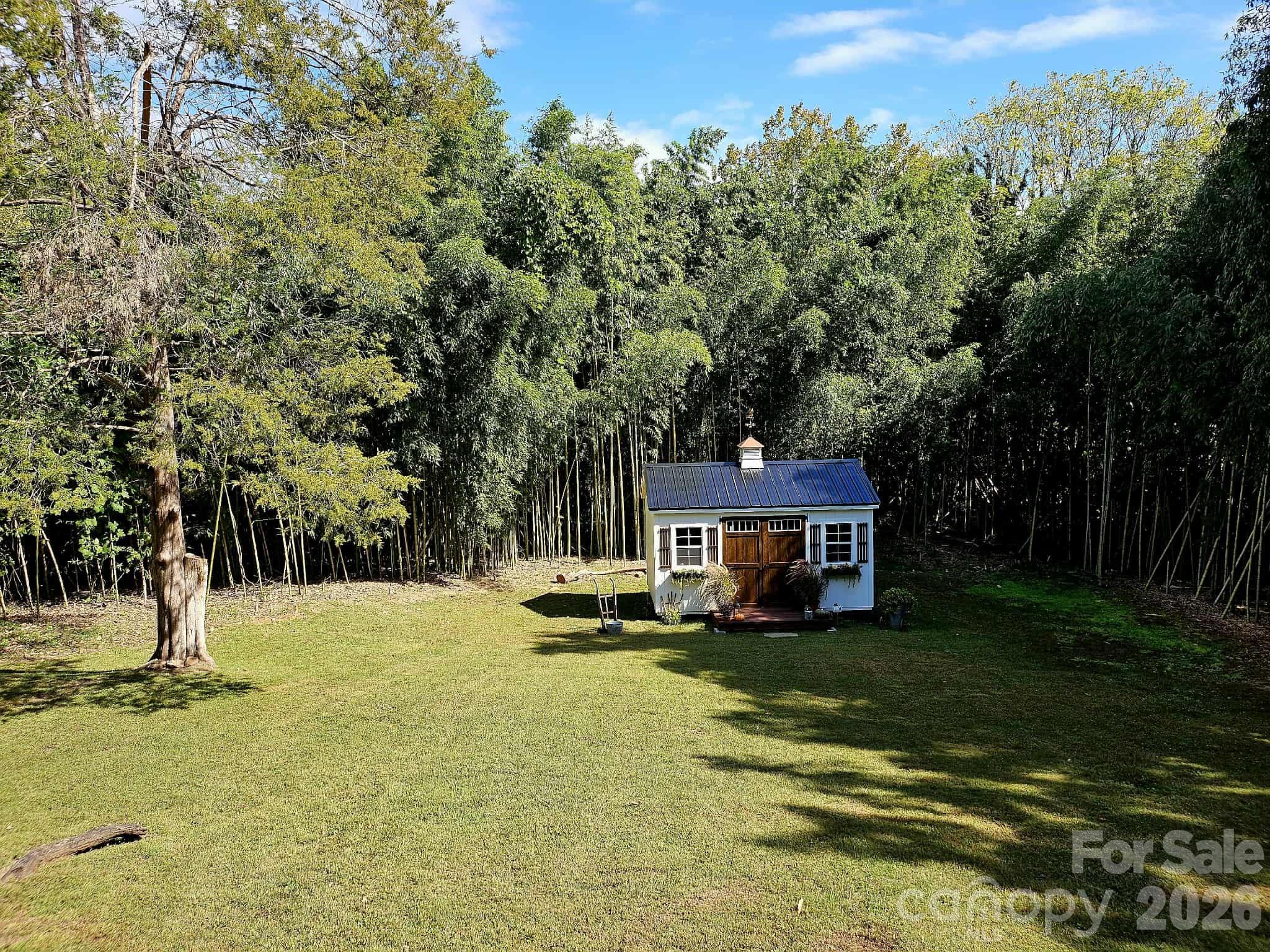 289 Carson Street Tryon, NC 28782 - Photo 20 of 30