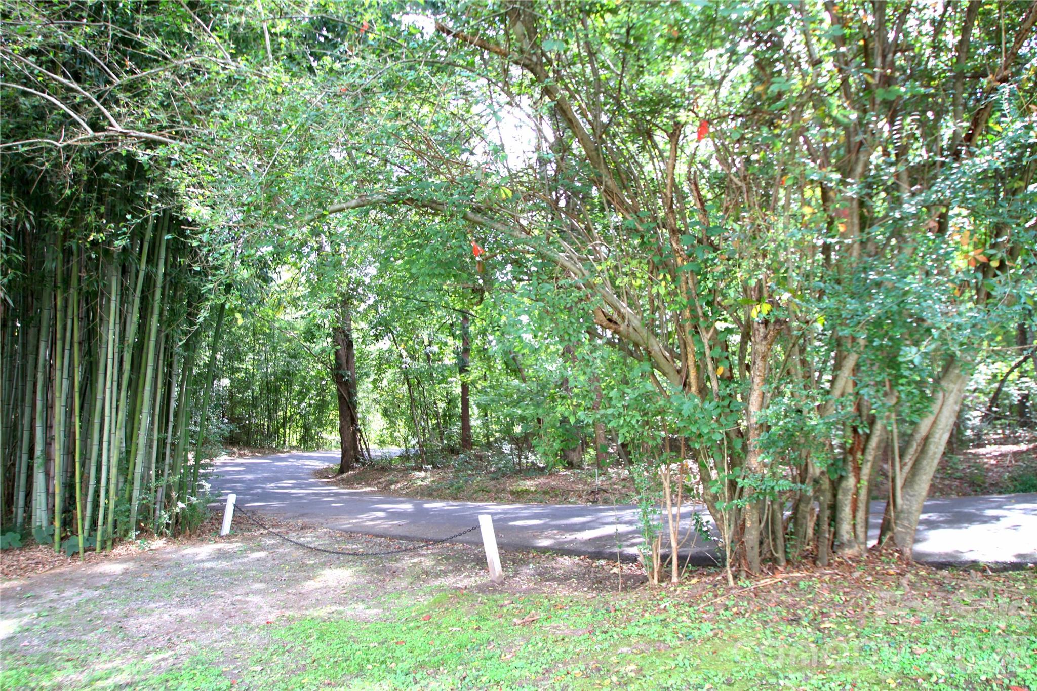 289 Carson Street Tryon, NC 28782 - Photo 22 of 30