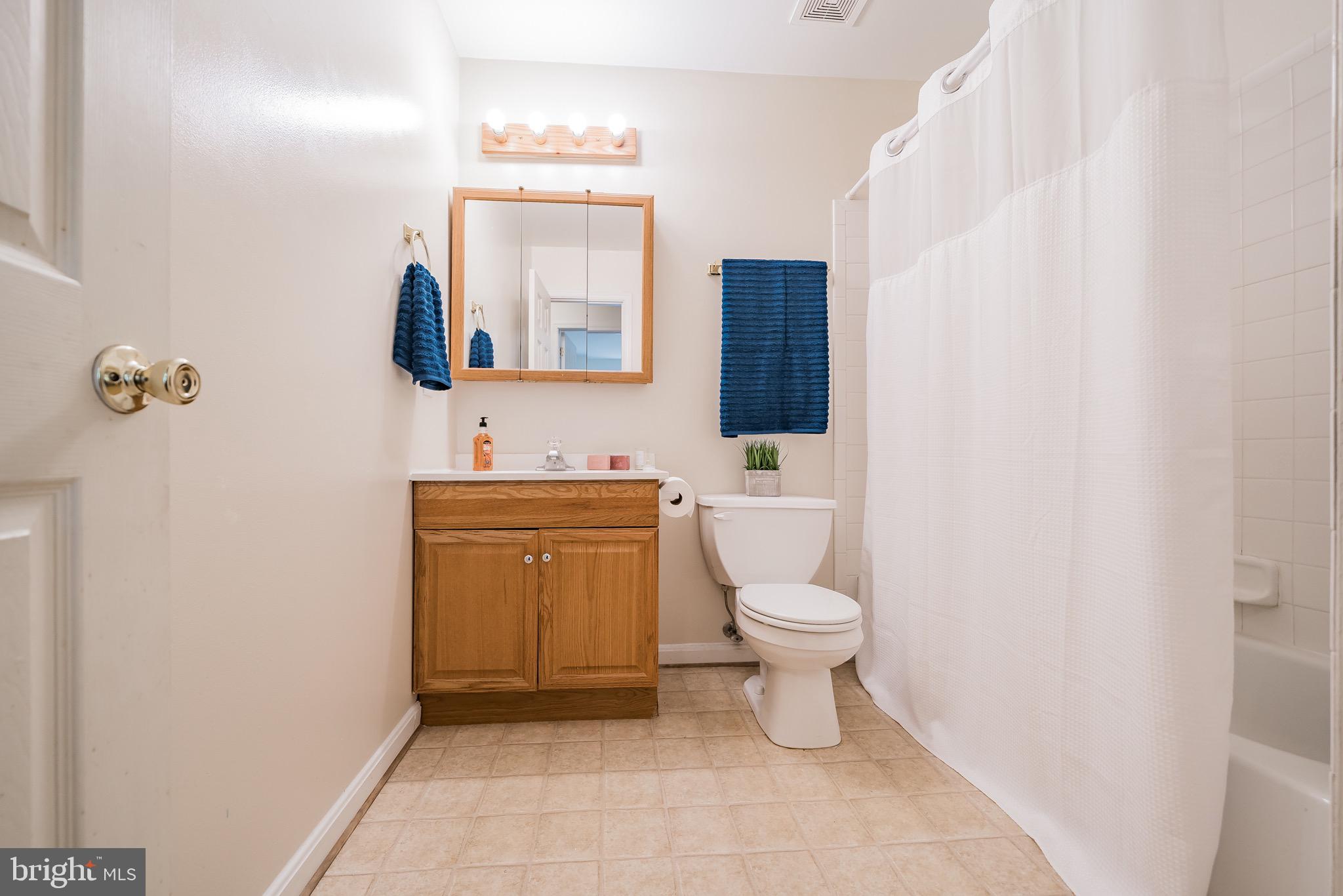 11109 Rawhide Road Lusby, MD 20657 - Photo 15 of 41 Hall bath