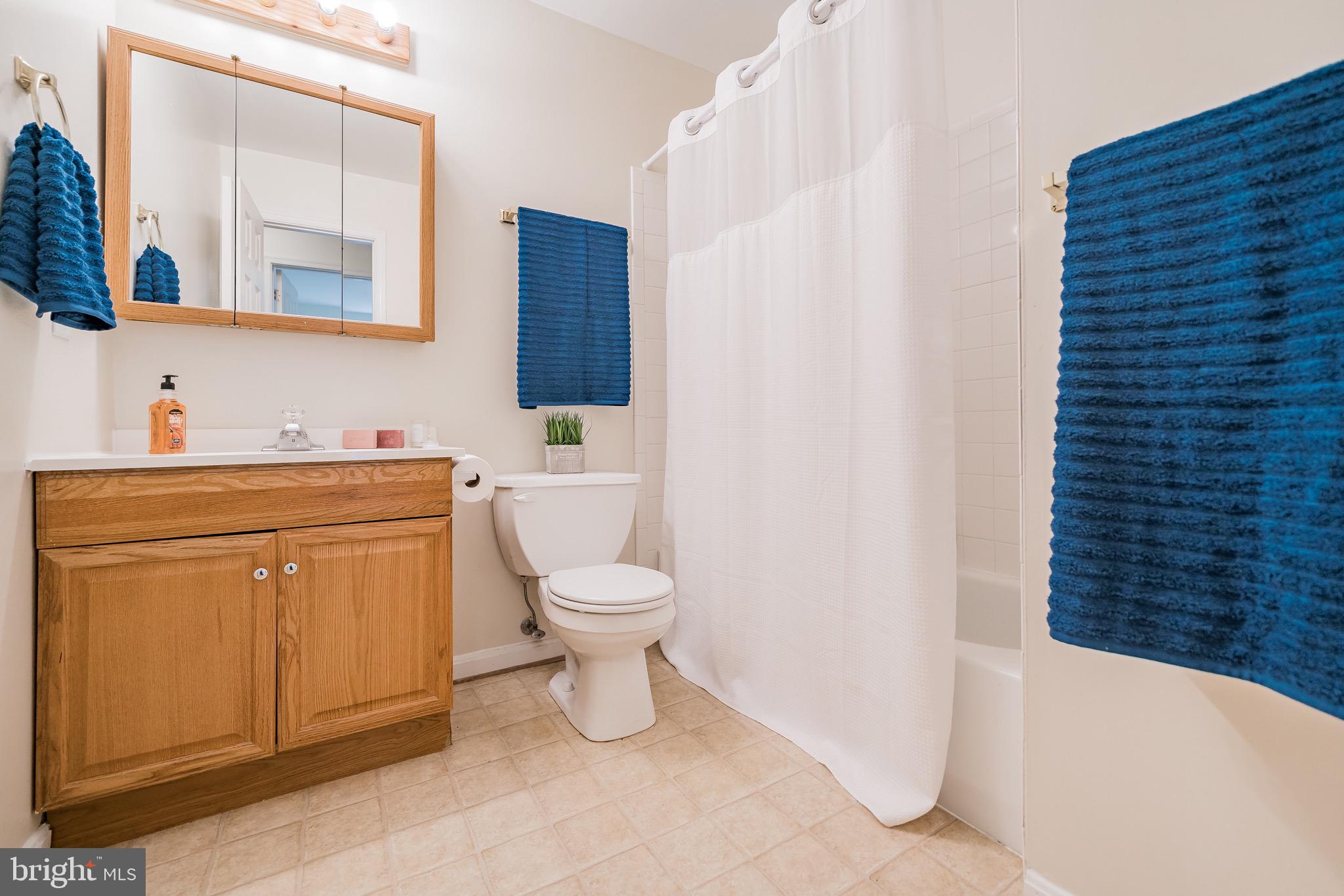 11109 Rawhide Road Lusby, MD 20657 - Photo 16 of 41 Large hall bath