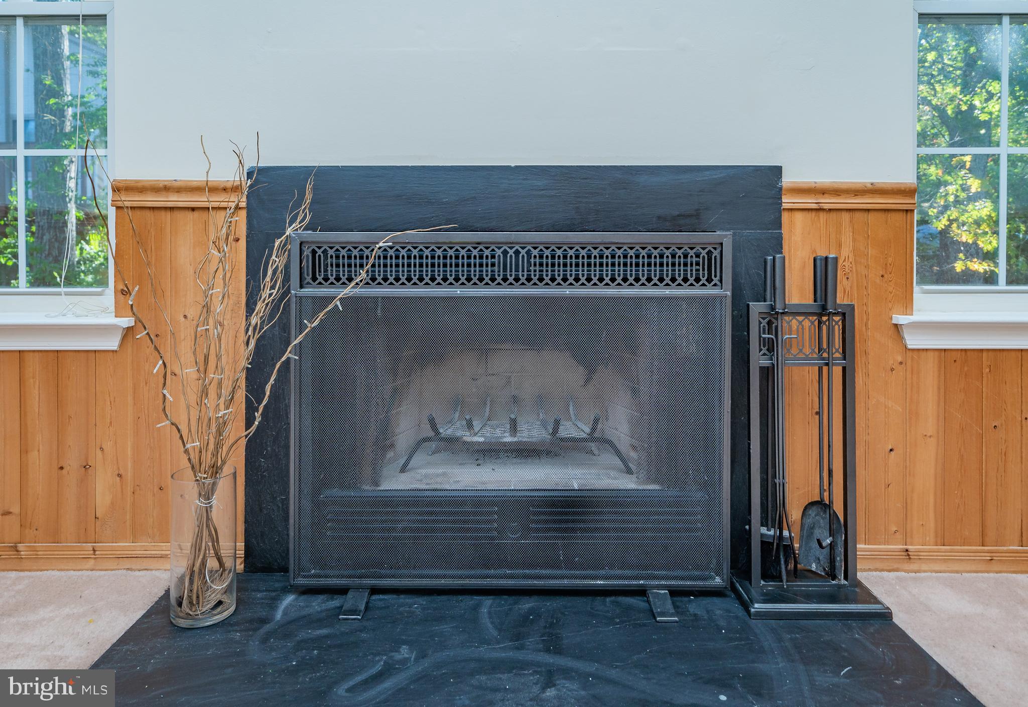 11109 Rawhide Road Lusby, MD 20657 - Photo 10 of 41 Wood burning fireplace
