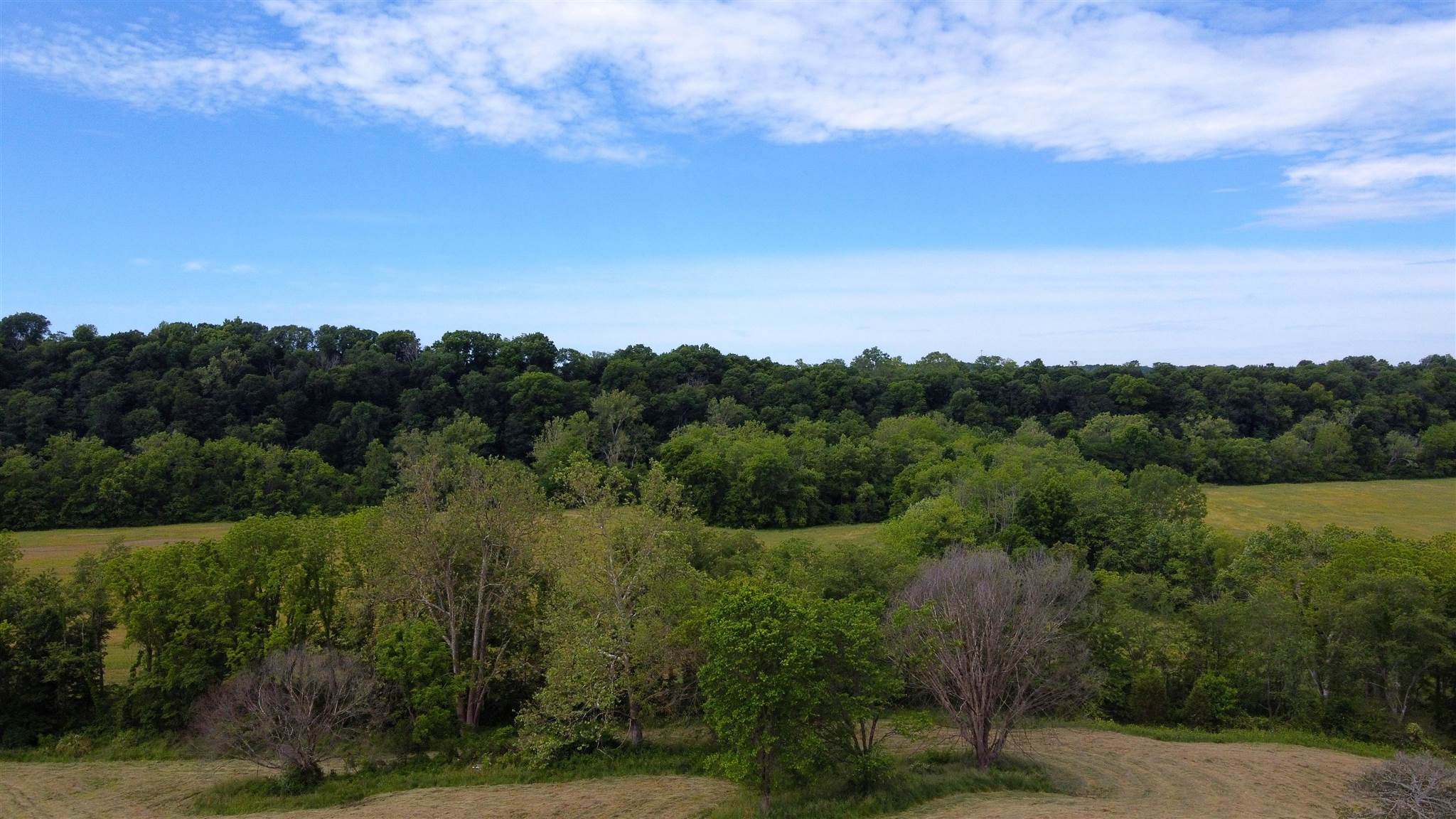 2496 Judah Logan Road Bedford, IN 47421 - Photo 1 of 14 Gallery Image 1