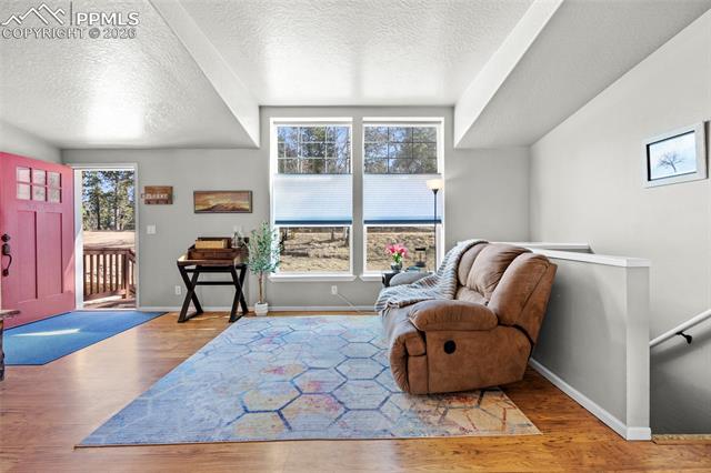 391 Kutsu Ridge Road Florissant, CO 80816 - Photo 8 of 50 Gallery Image 8