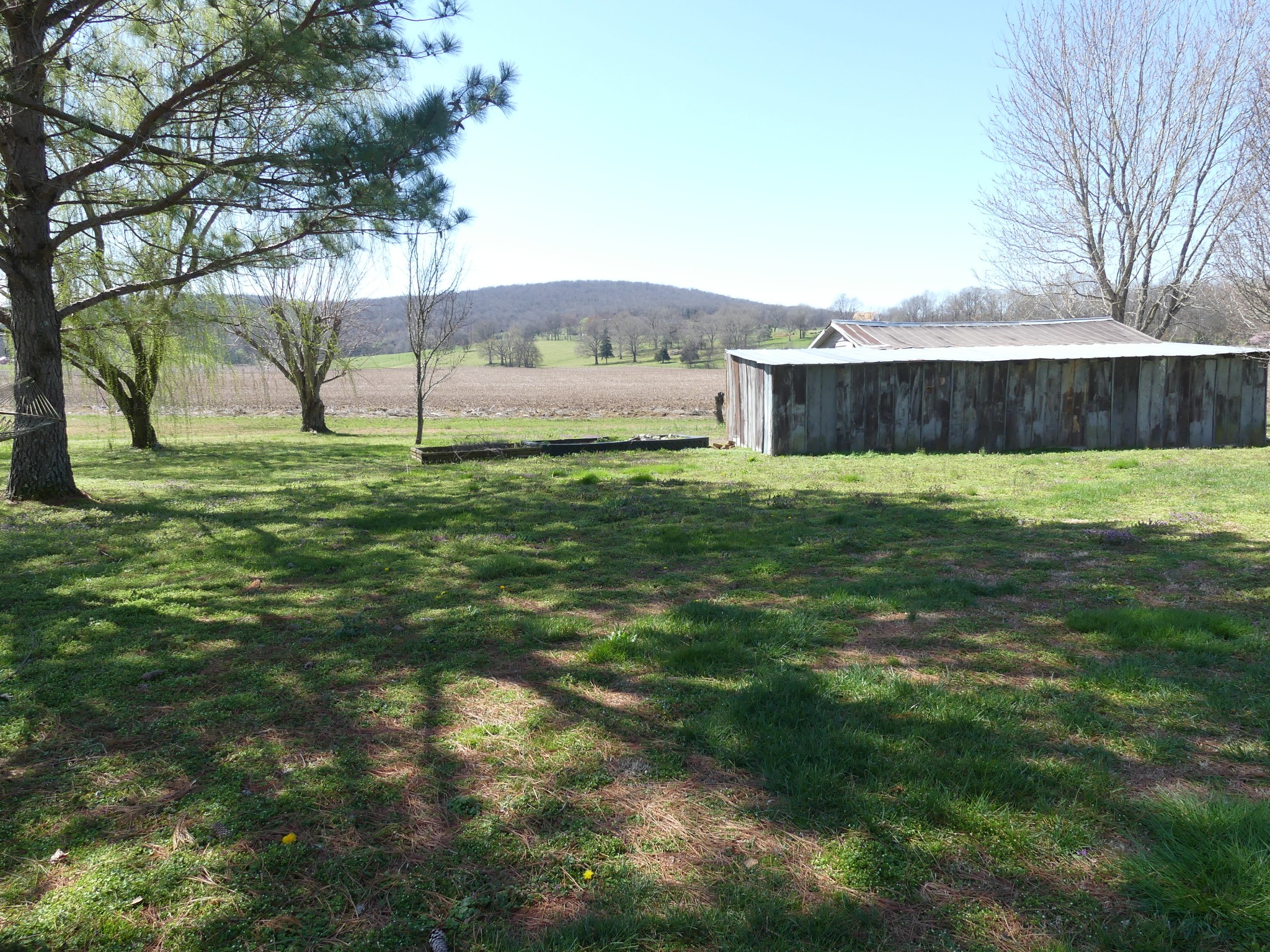 231 Mountain Road Elora, TN 37328 - Photo 7 of 32 a view of a back yard
