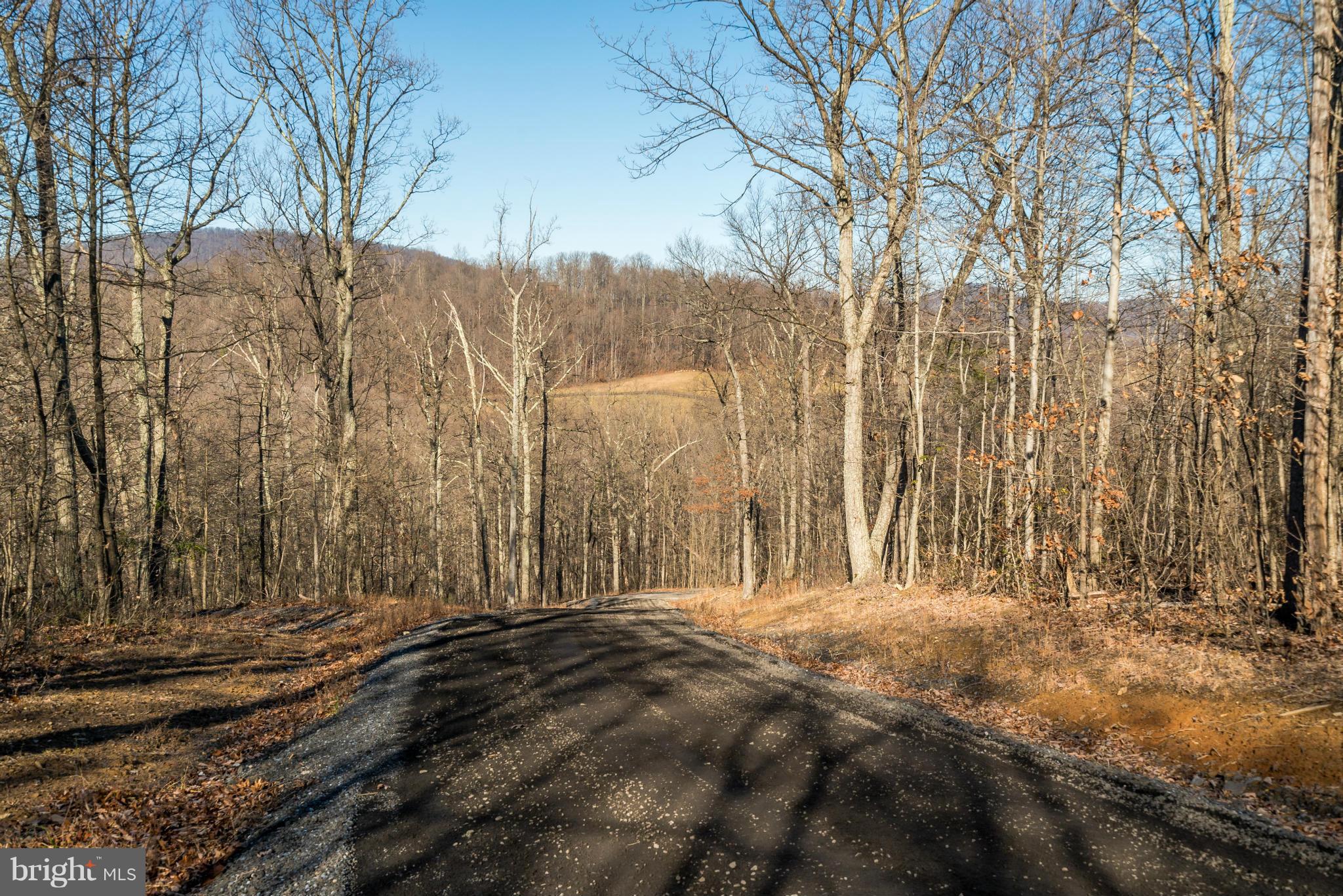 9637 Ada Road Marshall, VA 20115 - Photo 38 of 52 View from exiting driveway