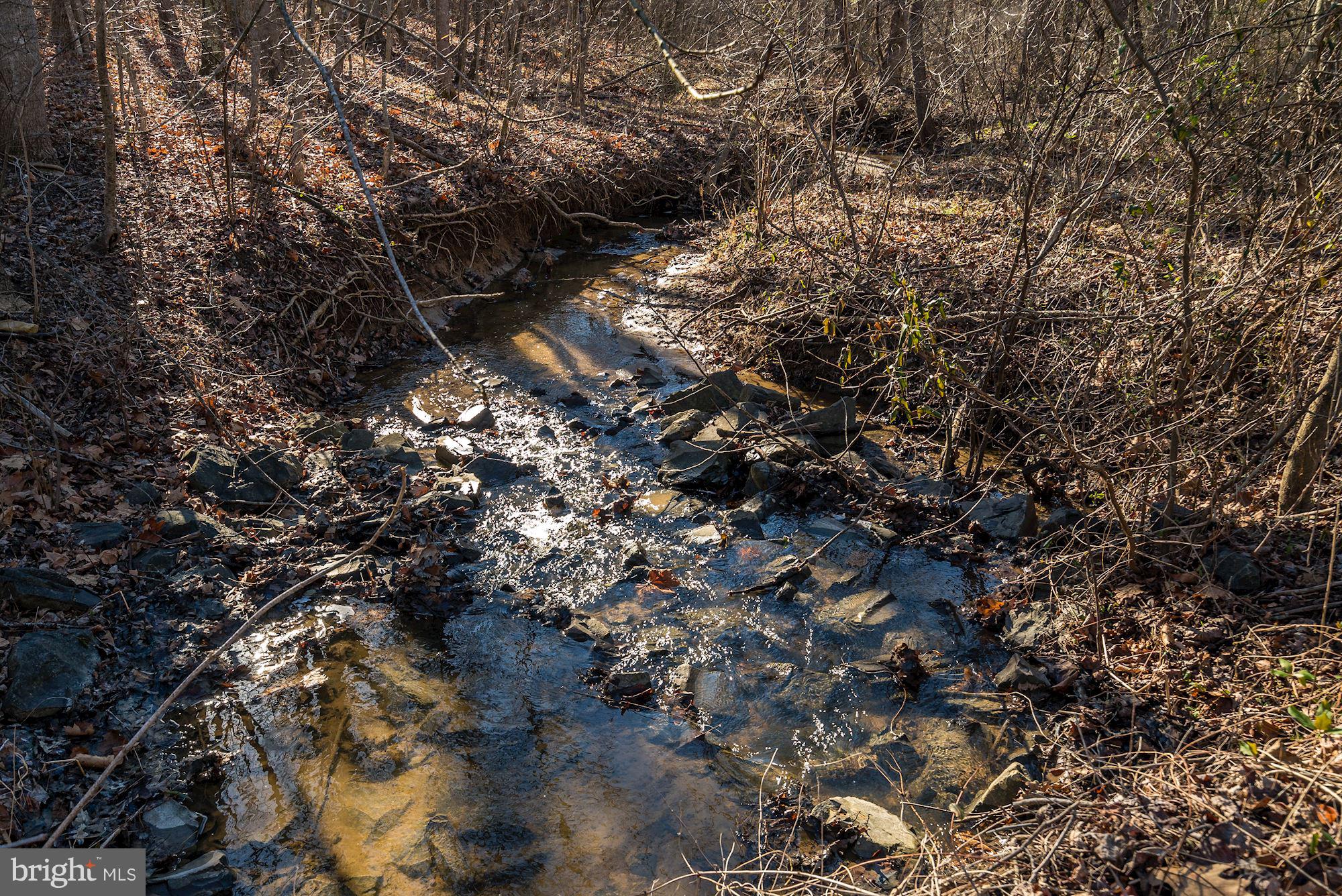 9637 Ada Road Marshall, VA 20115 - Photo 52 of 52 Stream on property