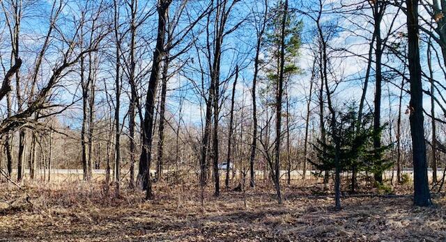 53599 Wilbur Road Three Rivers, MI 49093 - Photo 5 of 11 IMG_7794 (1)