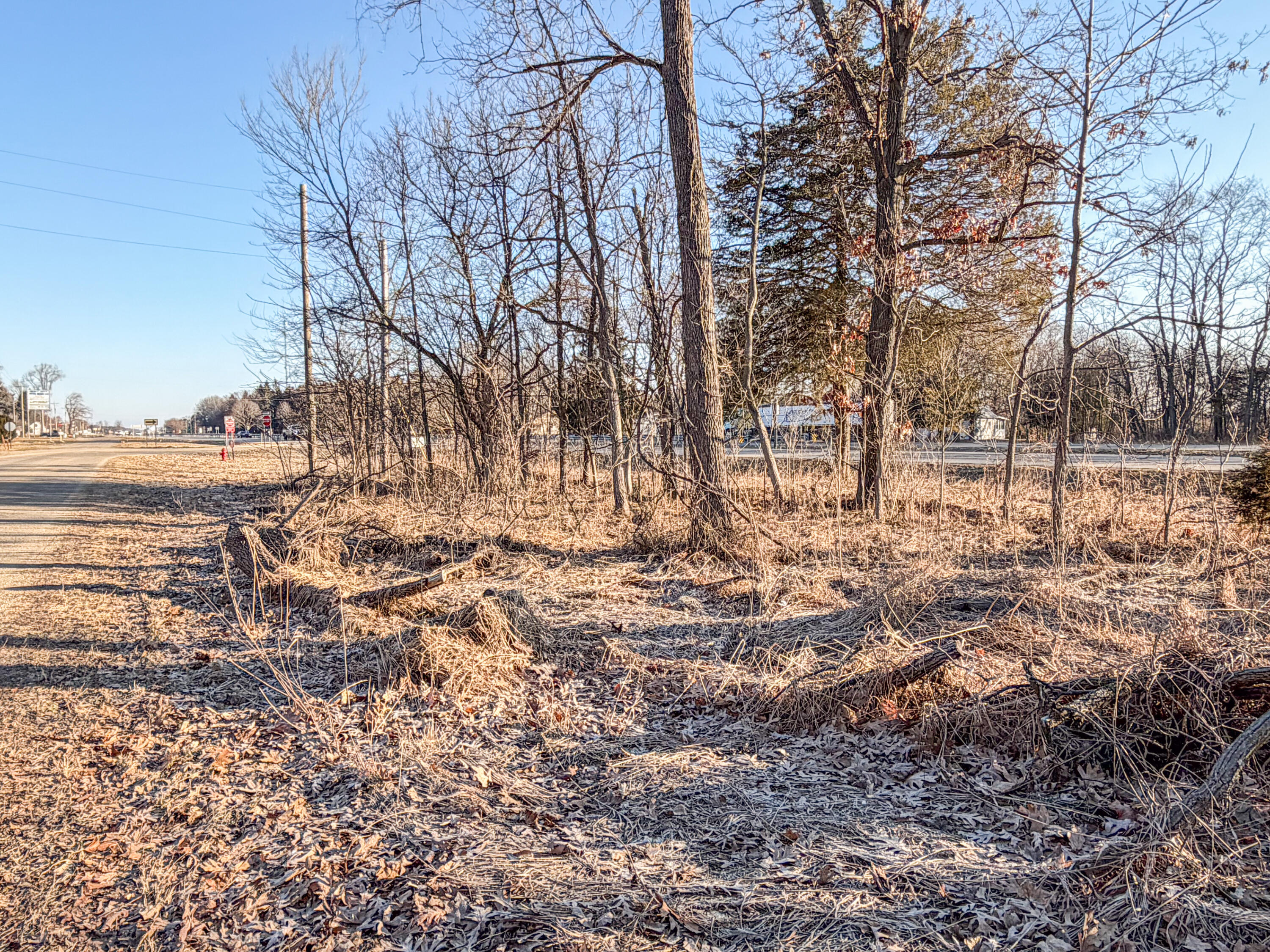 53599 Wilbur Road Three Rivers, MI 49093 - Photo 10 of 11 Wilbur-7