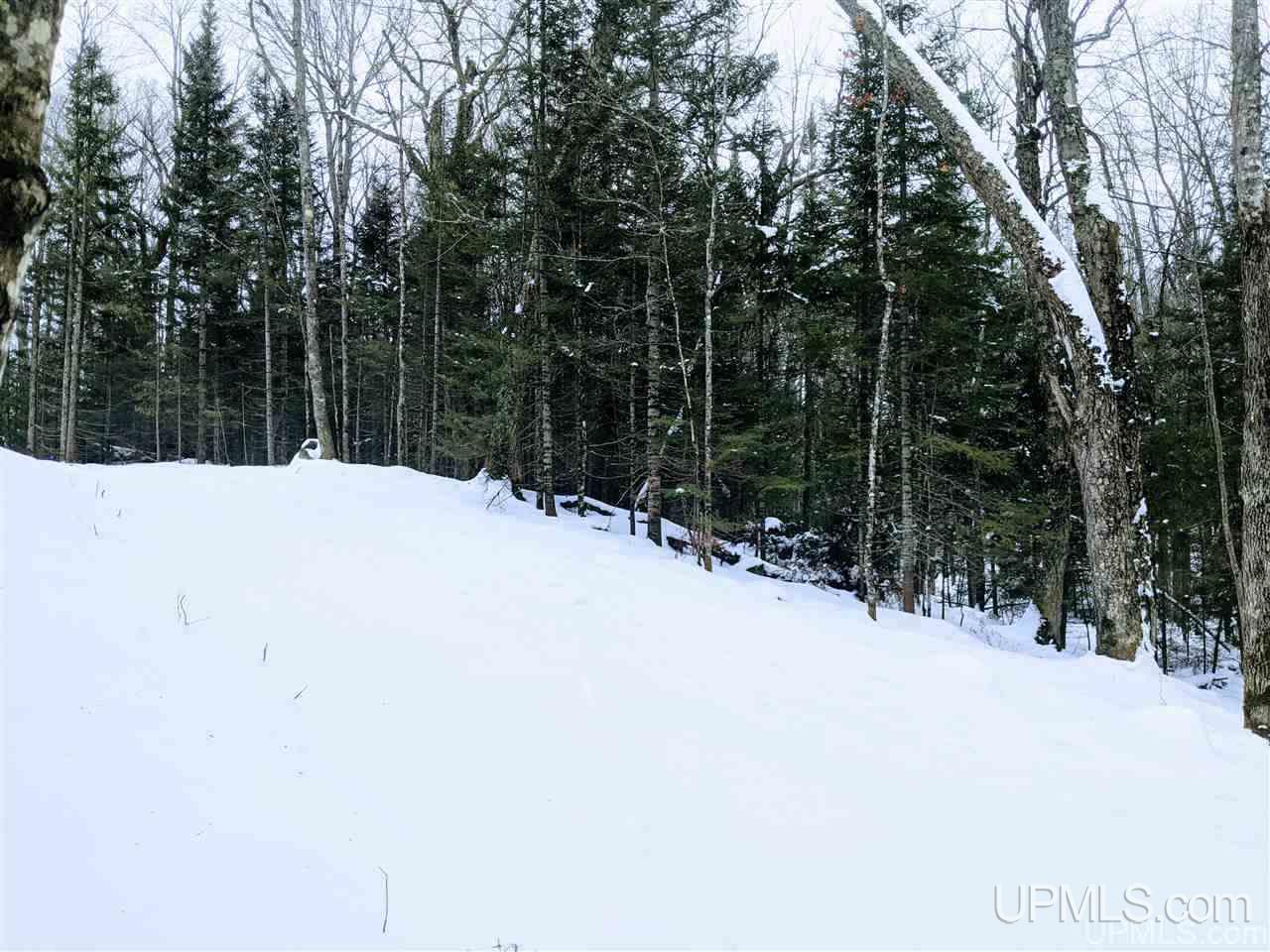Tbd Red Road Michigamme, MI 49861 - Photo 7 of 10 Gallery Image 7
