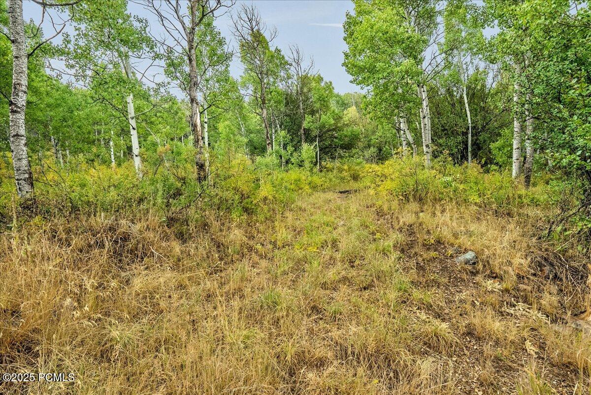 5397 East Colter Road Coalville, UT 84017 - Photo 17 of 28