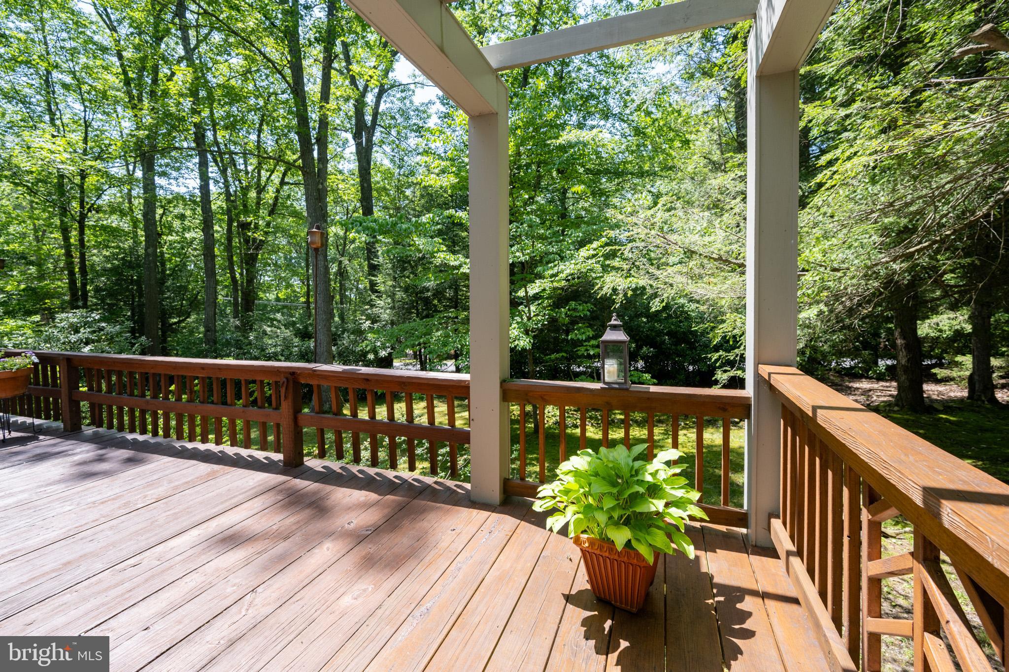 346 Skippers Point Road Oakland, MD 21550 - Photo 12 of 73 a view of a wooden deck with a large garden