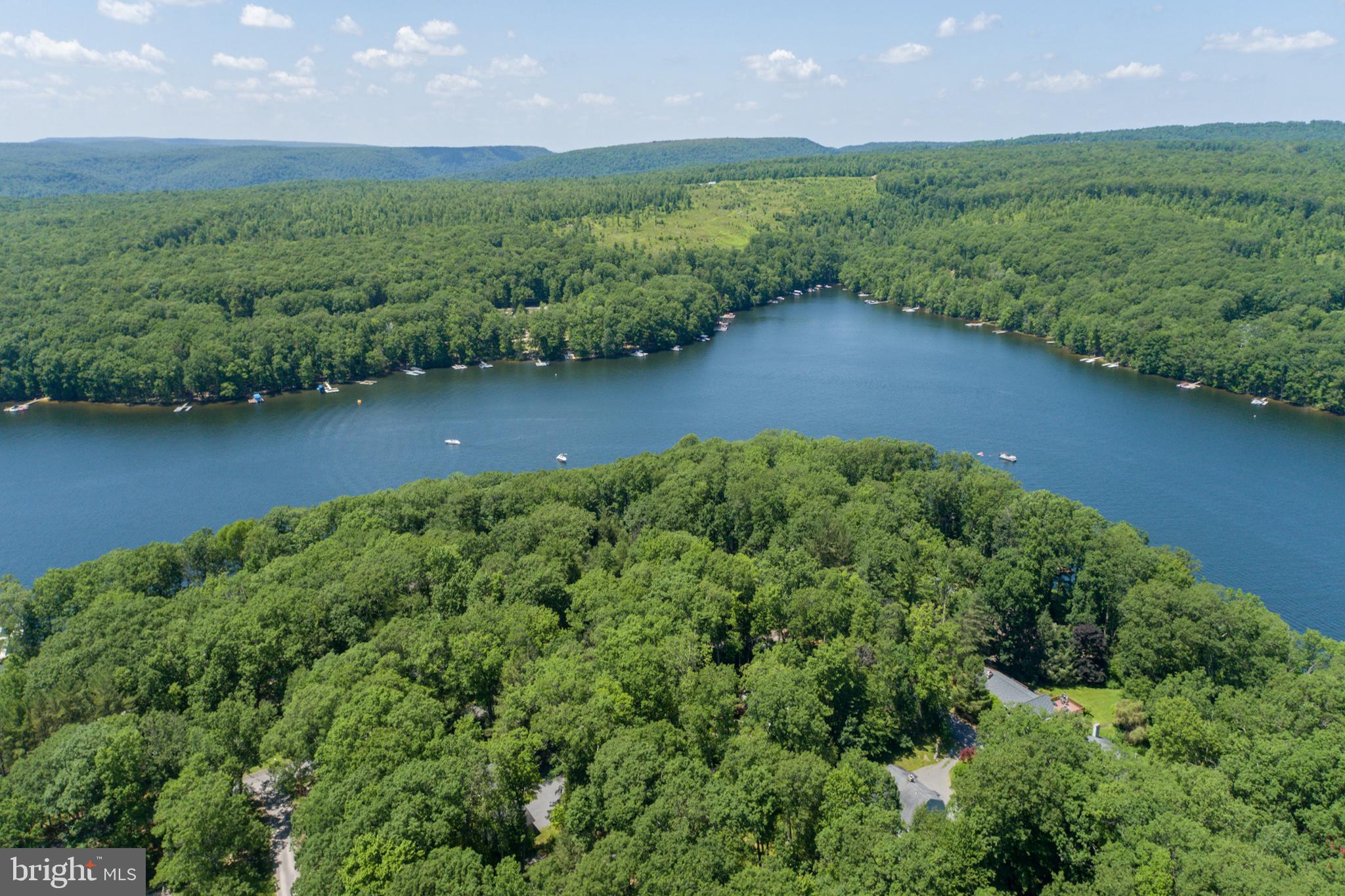 346 Skippers Point Road Oakland, MD 21550 - Photo 54 of 73 an aerial view of a houses with garden and lake view
