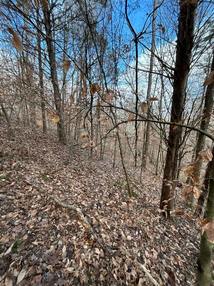Ac Old Kessler Ridge Road Tompkinsville, KY 42167 - Photo 5 of 10 Gallery Image 5