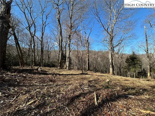 a view of a backyard of the house