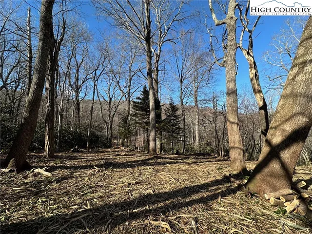 a view of dirt yard with a large tree