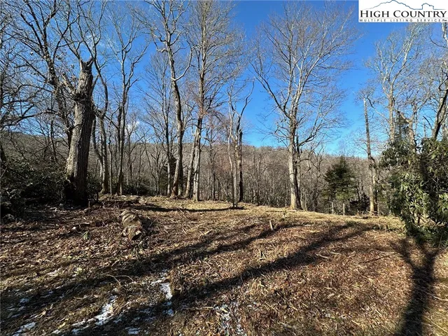 a view of a street sign under a large tree