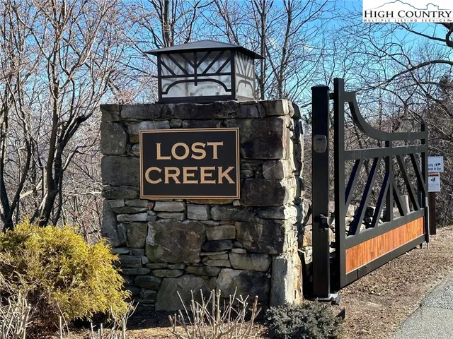 a view of a forest with trees