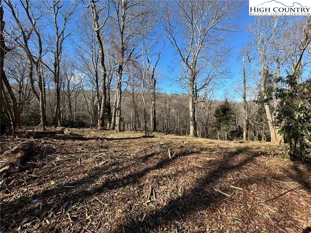 a view of a yard with trees