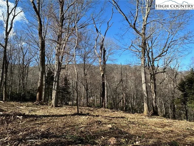 a view of a yard with trees