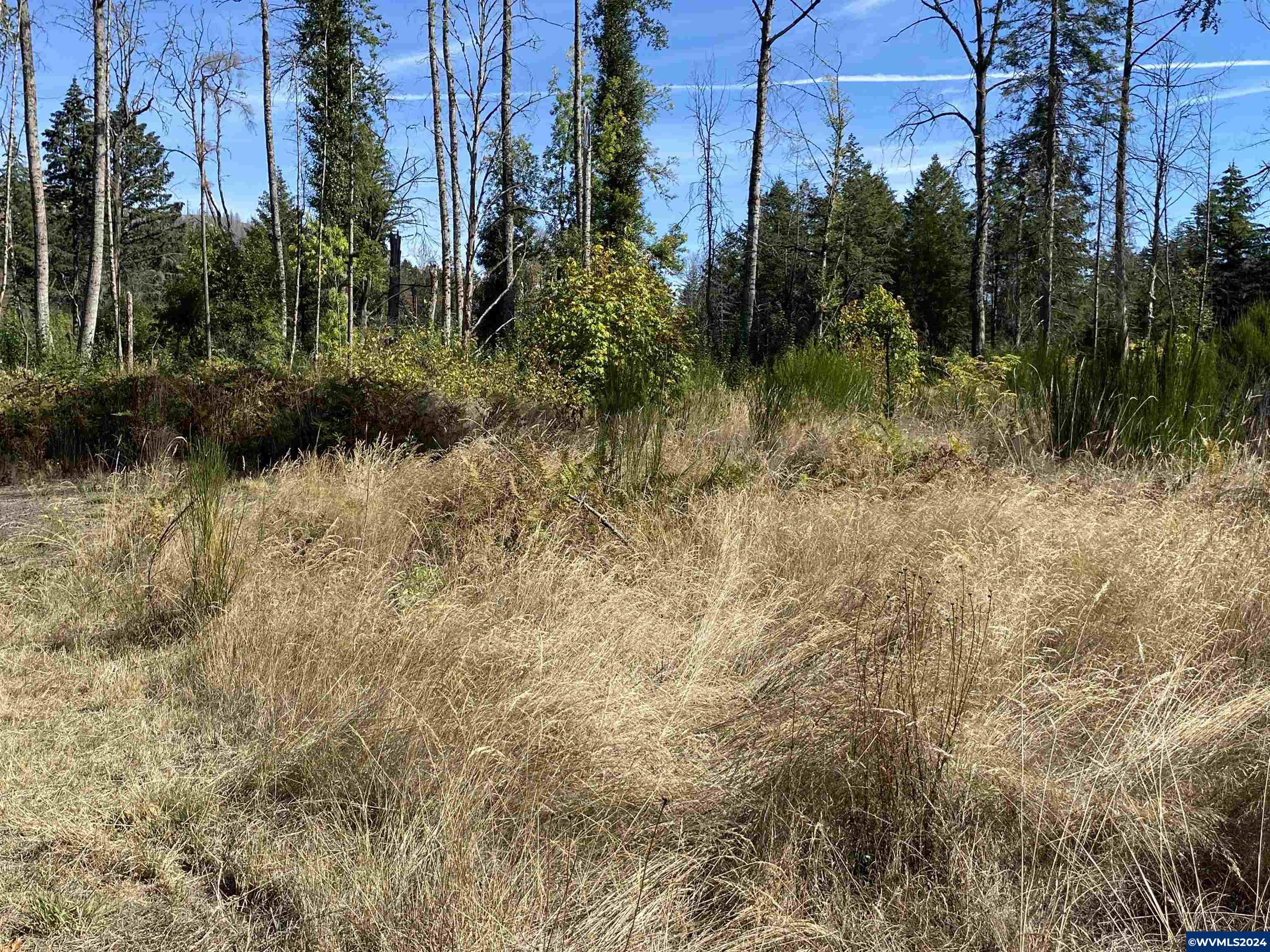 23545 North Fork Road Lyons, OR 97358 - Photo 10 of 16