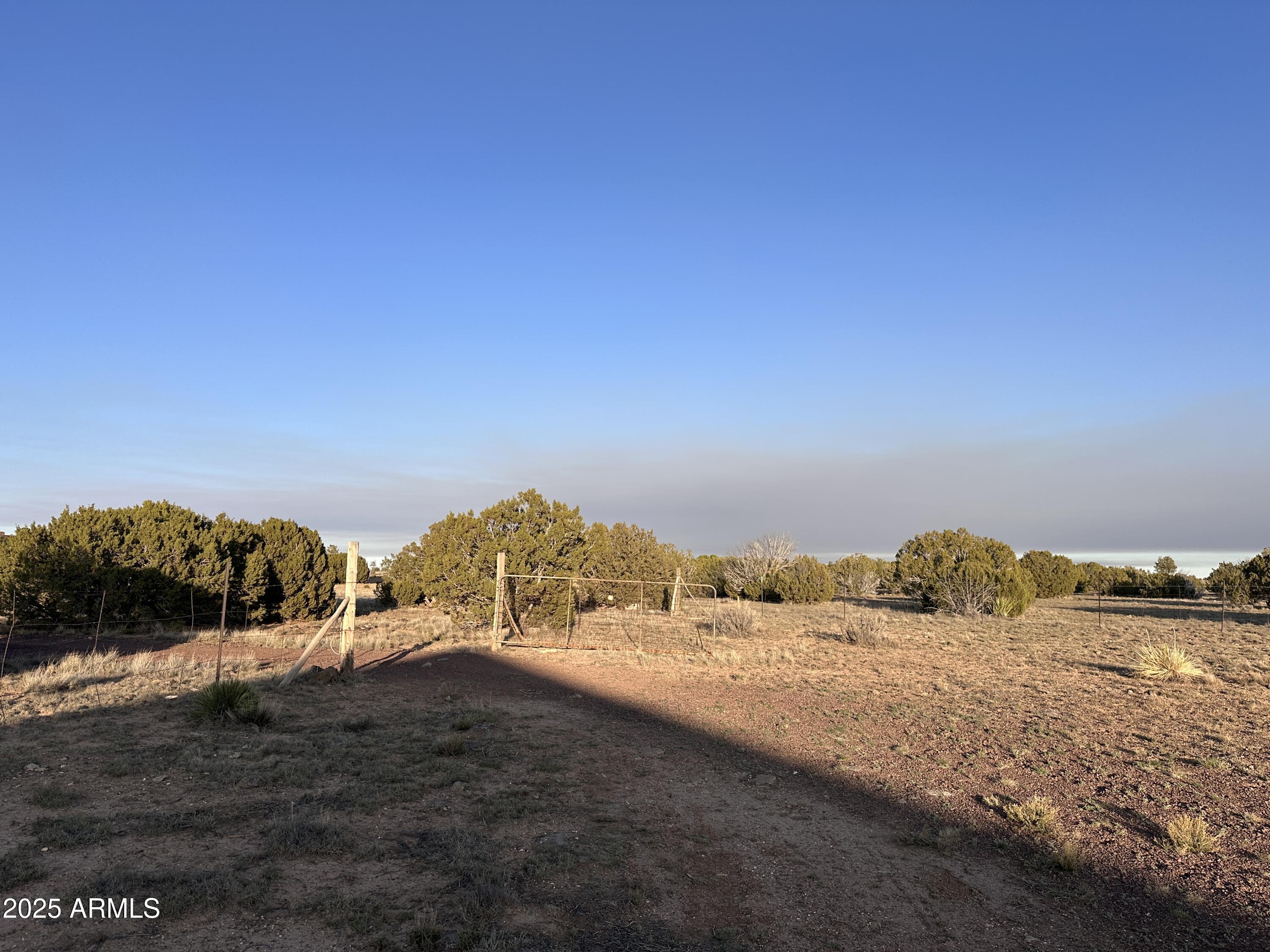 8051 Concho Az 85924 Concho, AZ 85924 - Photo 3 of 6 View of the land