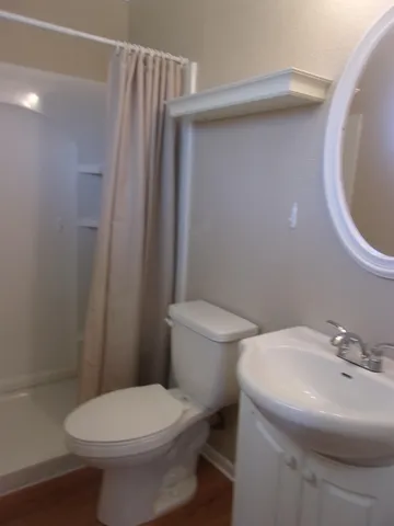 a bathroom with a sink a toilet and shower curtain