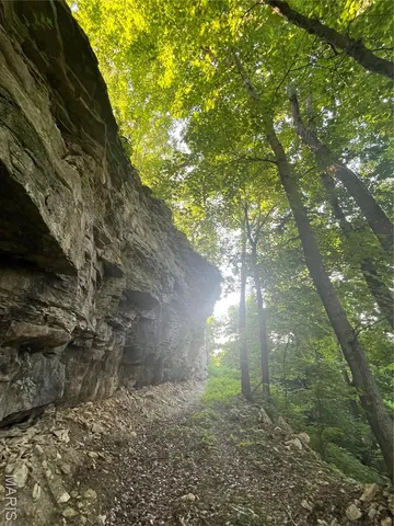 $1,200,000 | 4015 Pike 9140, Louisiana, MO 63353