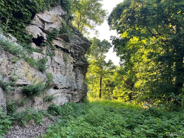 $1,200,000 | 4015 Pike 9140, Louisiana, MO 63353