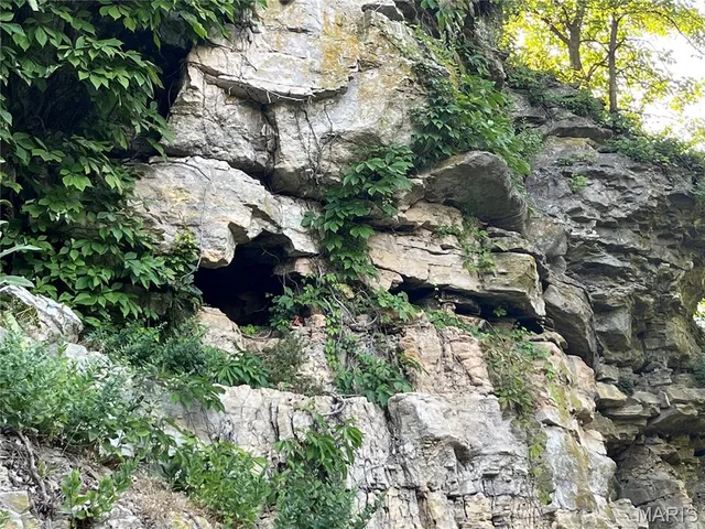 $1,200,000 | 4015 Pike 9140, Louisiana, MO 63353