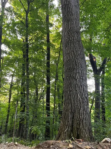 $1,200,000 | 4015 Pike 9140, Louisiana, MO 63353