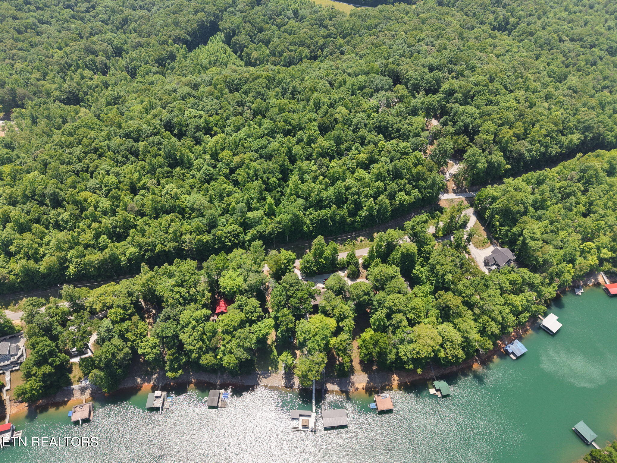 Yoakum Hollow Road Jacksboro, TN 37757 - Photo 6 of 17 16-web-or-mls-DJI_20260518131717_0045_D