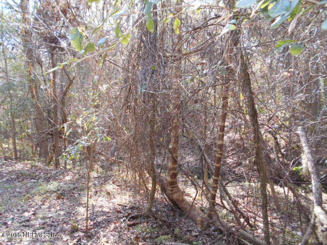 1993 Pate Road West Jacksonville, FL 32226 - Photo 3 of 18 03 toward the creek