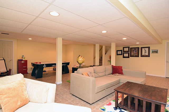 N040 Pierce Avenue Wheaton, IL 60187 - Photo 17 of 20 a living room with furniture and a flat screen tv