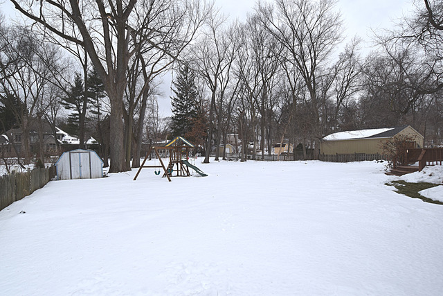 N040 Pierce Avenue Wheaton, IL 60187 - Photo 19 of 20 a view of outdoor space with trees
