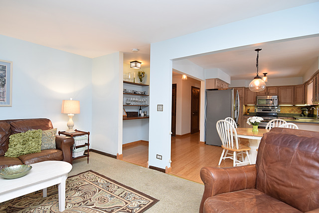 N040 Pierce Avenue Wheaton, IL 60187 - Photo 10 of 20 a living room with furniture and wooden floor