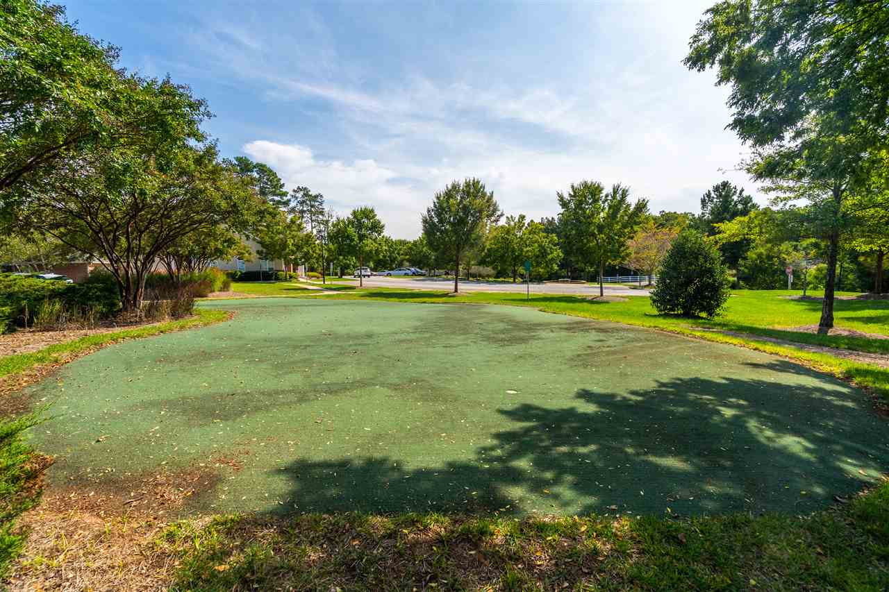 2511 Huntscroft Lane, Unit 103 Raleigh, NC 27617 - Photo 24 of 30 Putting Green