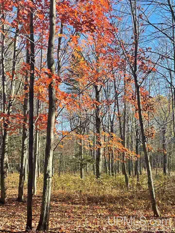 Tbd Rauhala Road Atlantic Mine, MI 49905 - Photo 11 of 27 Gallery Image 11