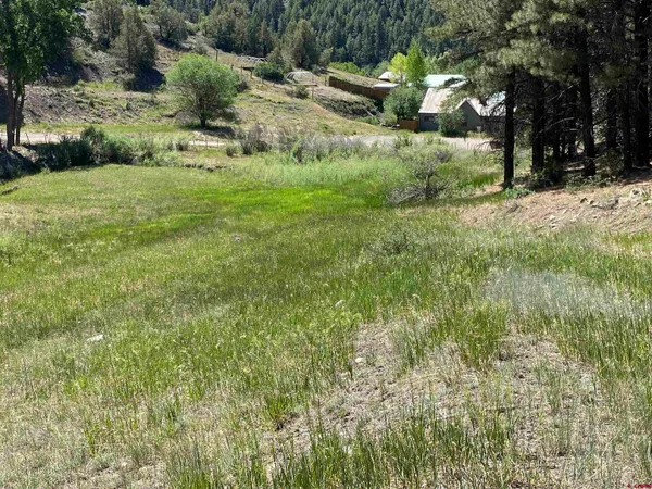 a view of a green field with lots of bushes