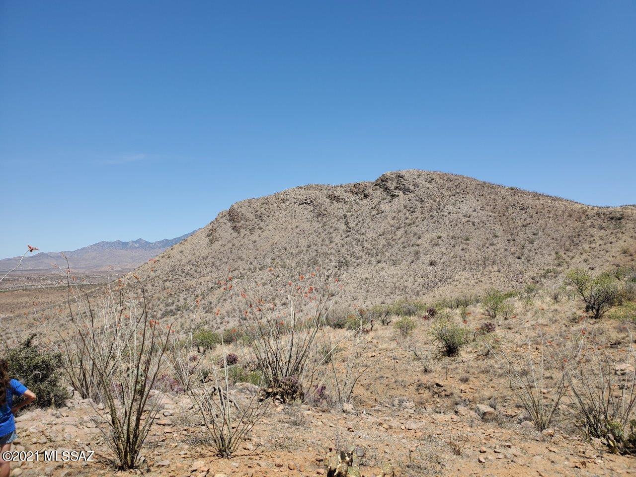 1695 Vía San Cayetano, Unit 7 Rio Rico, AZ 85648 - Photo 35 of 36