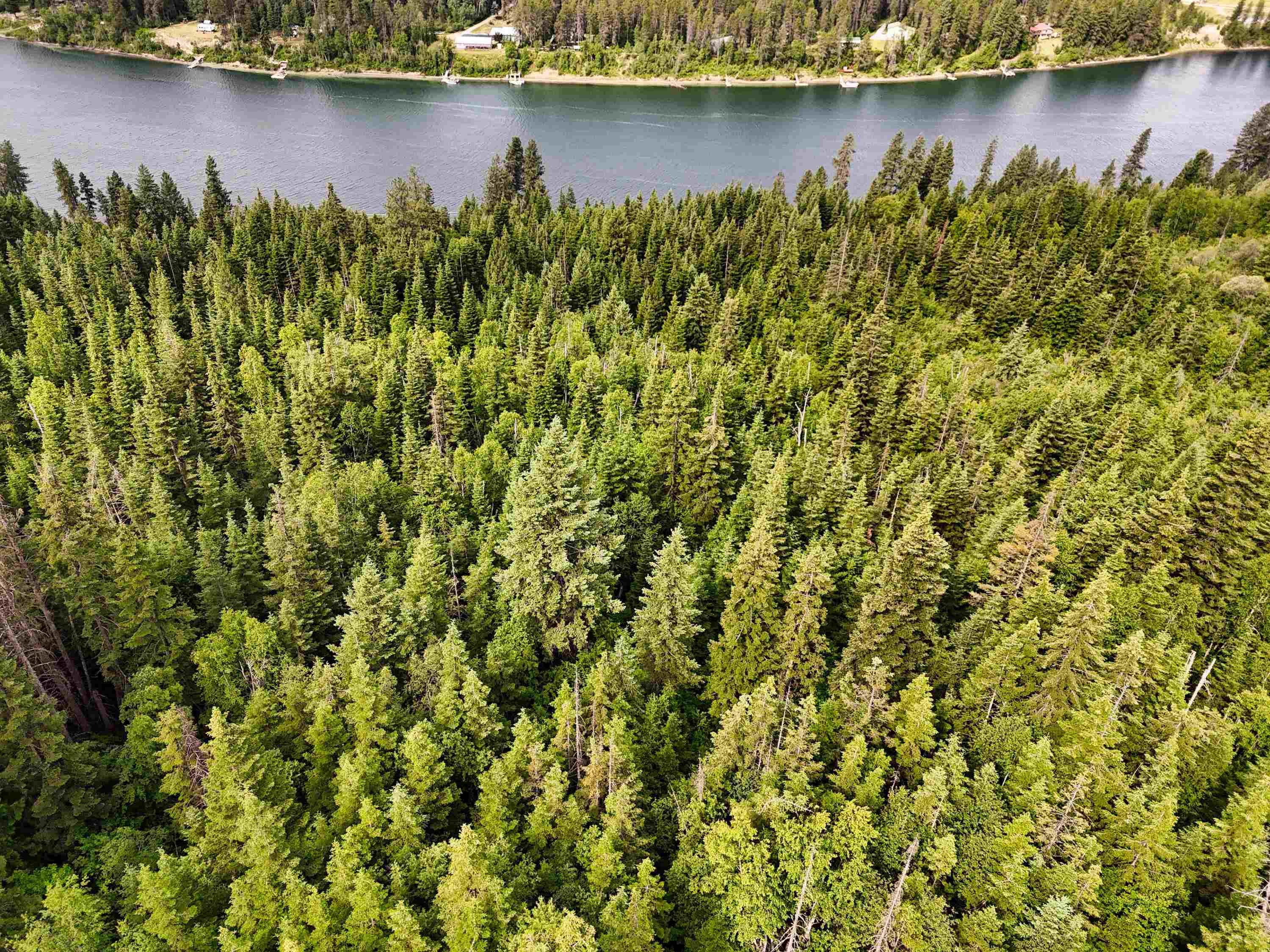 28251 LeClerc Road North Ione, WA 99139 - Photo 27 of 50