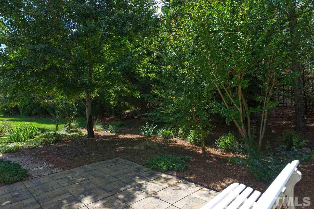3413 Secretariat Way Raleigh, NC 27614 - Photo 22 of 23 a view of backyard with green space